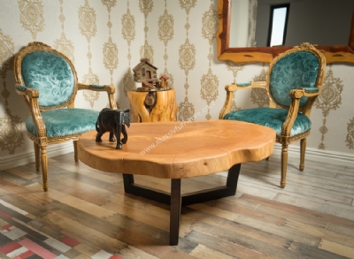 Spezielle Design Couchtische