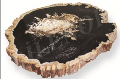 Fossiler Baum